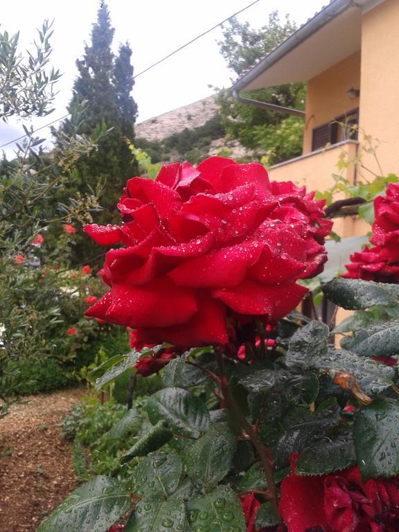Studio Apartman Stara Baska Luaran gambar