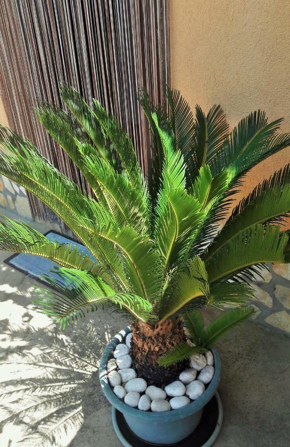 Studio Apartman Stara Baska Luaran gambar